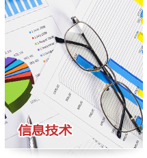 信息技术 软件开发